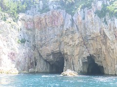 �R�[������